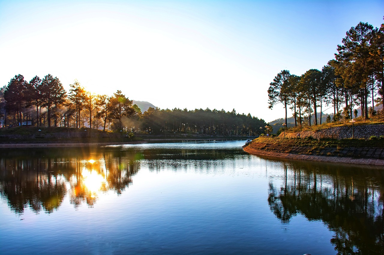 sunset, landscapes, nature, lakes, forest, pine hill